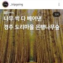 소유마을회관 이미지