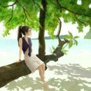 정(情) - 사랑과 이미지