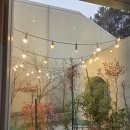 소풍농월 | 파주 문산 감성 카페ㅣ 베이커리 카페 소풍농월 방문 후기