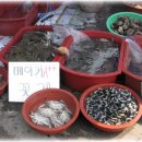 에이(A)플러스 이미지