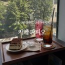 군포카프라자 | 산본역 카페 파피오 방문기 : 티라미수 맛집 대형카페