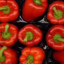 남부종합약국 이미지