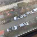 호텔로와 | 22년도 대한적십자사 응급처치 강사과정 진행후기 (맛집 추천)