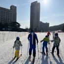 휘닉스파크 이미지