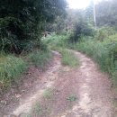 하장보건지소 이미지