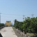 제주하나리조트 이미지