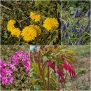 명자농장 이미지