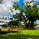 전남지체장애인협회 곡성군지회 이미지