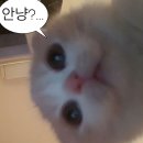 투게더김밥천국 | 2024 투모로우바이투게더 플바투 play x together 후기