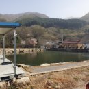 조은터부동산중개사무소 이미지