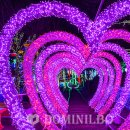 싱그러운청도로(봄) 이미지