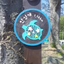 돌산공원길 이미지