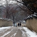 비원 이미지