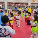 강한태권도장 이미지