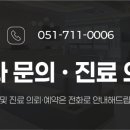 24시 리본동물영상센터 네이버블로그