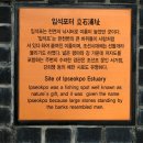 조선낚시터 Daum카페