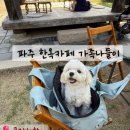 공간_空間 | 파주 한옥카페 공간채향(空間彩香) 가족 나들이 애견동반 후기