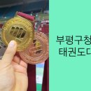 태풍체육관(태권도) 이미지