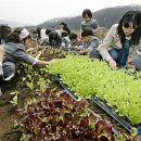 이명근 농장 이미지