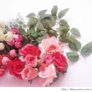 천원세탁소 이미지