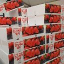 버스정류장-기민중 이미지