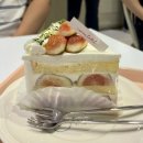 강남-154 | [강남/신사] 크림라벨 :: 무화과 생크림 케이크 내돈내산 솔직후기