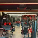 울프피트니스 이미지