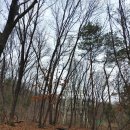 수도녹지사업소 이미지