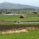 제주 모슬포 알뜨르 비행장 일제 지하벙커 이미지