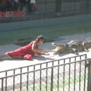 (주)박상 이미지