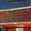 왕타코야끼 이미지