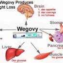 세광메디칼 이미지