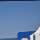 창포리 해맞이축구장 옆 | 🐶 경북 영덕 애견동반여행 추천! 창포말등대부터 블루로드 4코스까지 힐링 산책길 걷기💙