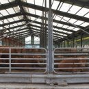 순일농장 이미지