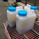 서울농약종묘사 이미지