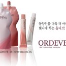 헤어도쿄 이미지