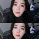 댕댕이지 이미지