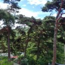 소나무정신건강의학과의원 이미지