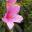 휴먼메디텍 이미지