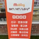 시민알뜰매장 | 중리점, 선택약정 연장하러 갔다가 알뜰유심으로 데이터 무제한 요금제 반값 다이어트 성공한 감동 후기!