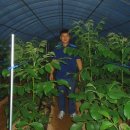 묘하우스 이미지