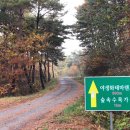 지리산숲속수목가옥 이미지