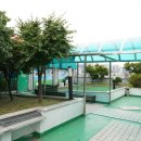 레몬골프 스크린골프존 이미지