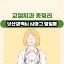 장림치과의원 | 부산광역시 사하구 장림동 교정치과 총정리