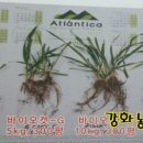 강화농약종묘사 이미지