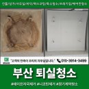 장림종합가스 | 부산 퇴실청소, 장림원룸 생활오염 싹 제거하고 왔습니다