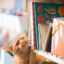 경희매일아침한의원 이미지