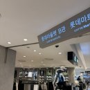 슈가골프 | 광주 수완, 앤티앤스 롯데아울렛 광주수완점 / 시나몬슈가, 할라피뇨 치즈 핫도그 후기
