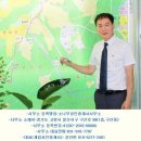 소나무공인중개사사무소 이미지