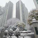 양지마을2로27 이미지